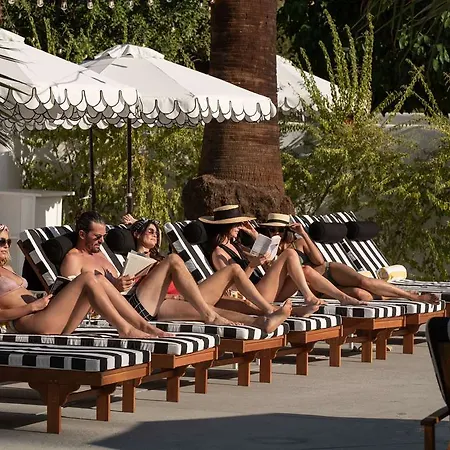 Dive Palm Springs 