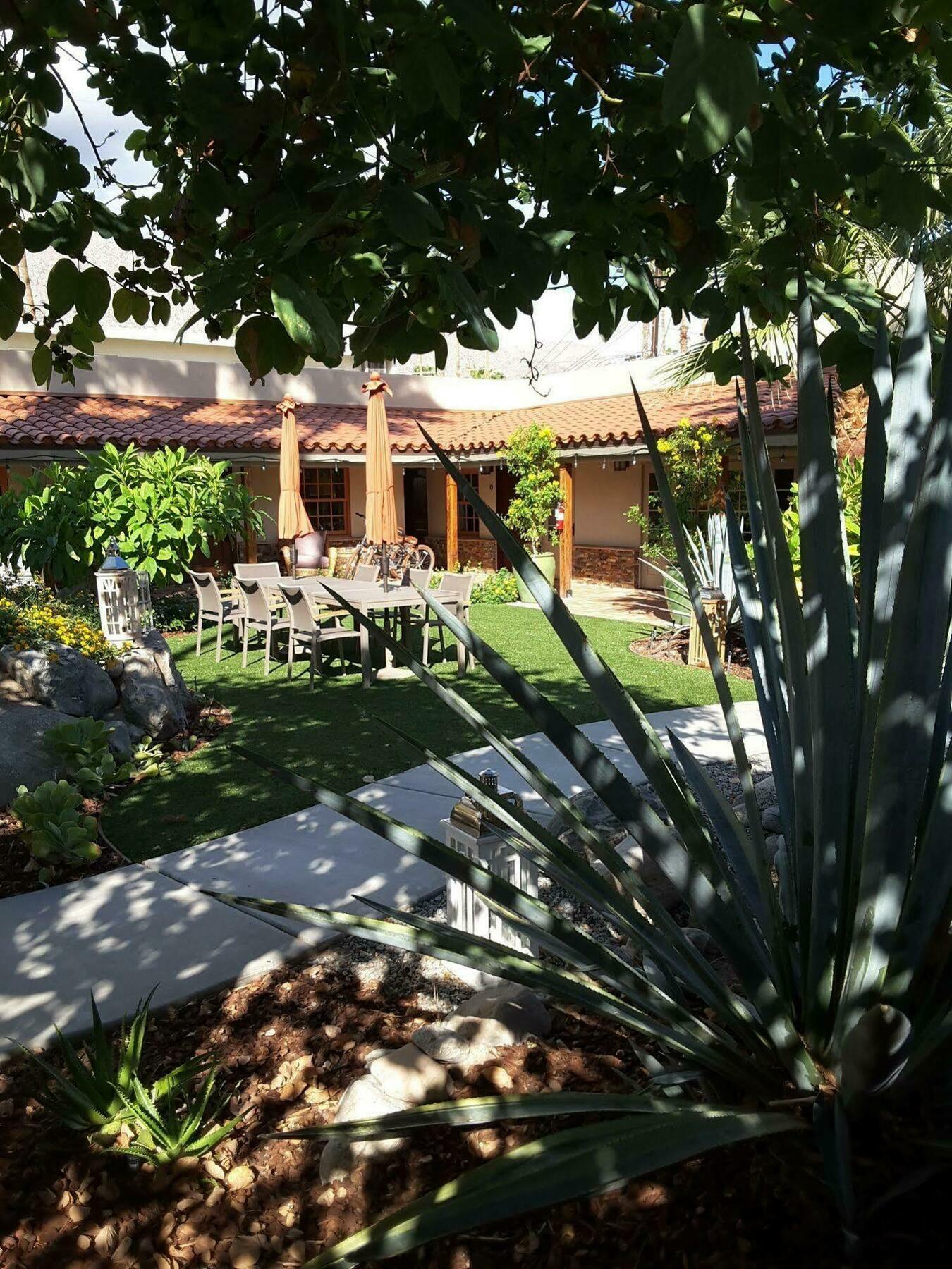Hotel Dive Palm Springs