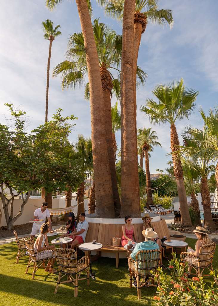 Hotel Dive 4*